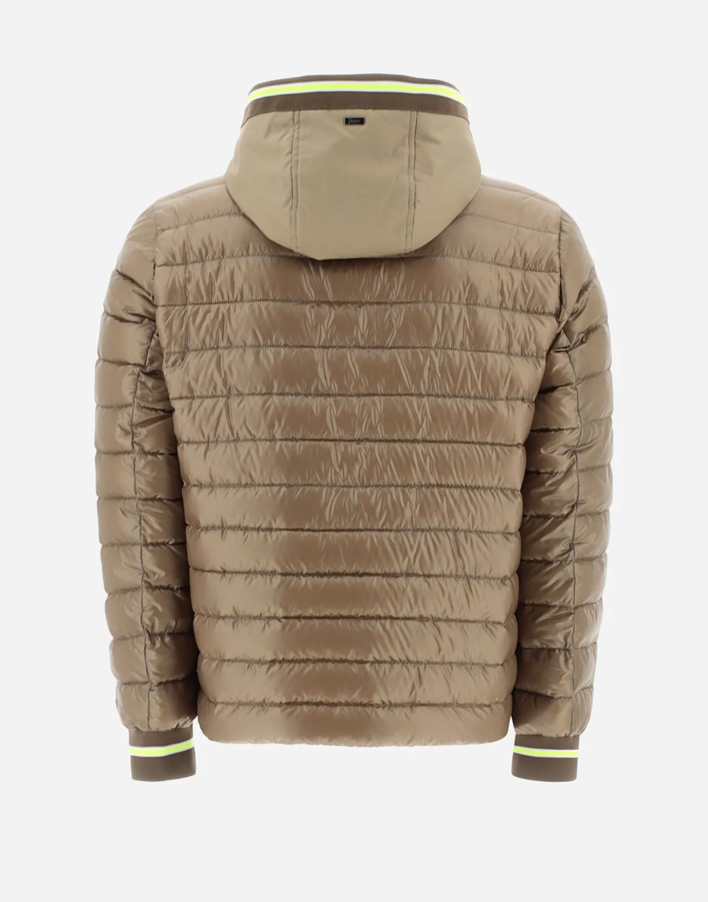 Herno Bomber | Bomber Camel